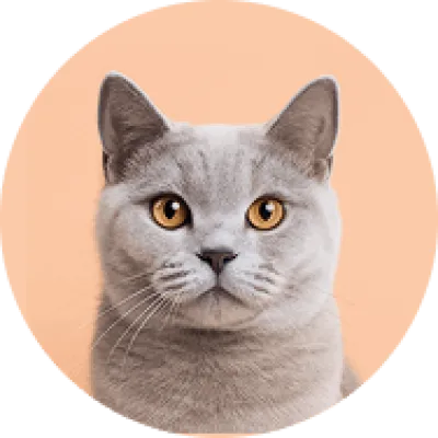 Obivan
